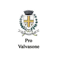 Pro-Valvasone